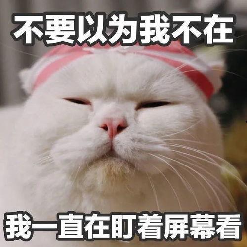 刘大锤最新爆料表情,揭秘娱乐圈最新热点事件  第2张